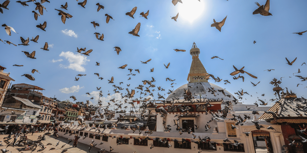 Boudhanath Stupa Image